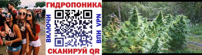Конопля THC 21% Абакан